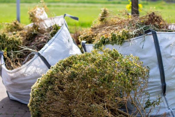Best Construction Debris Removal  in Kechi, KS